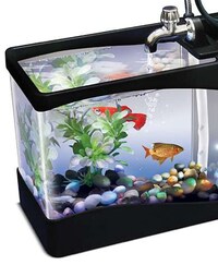 PC-Powered Fish Tanks Image 5