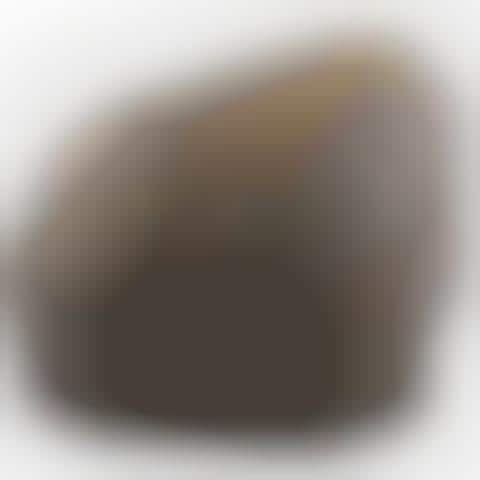 Rocky Covert Cameras
