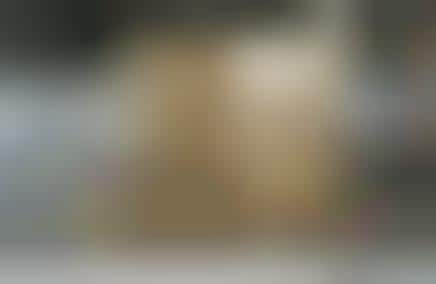 Cupboard-Bound Kitchens