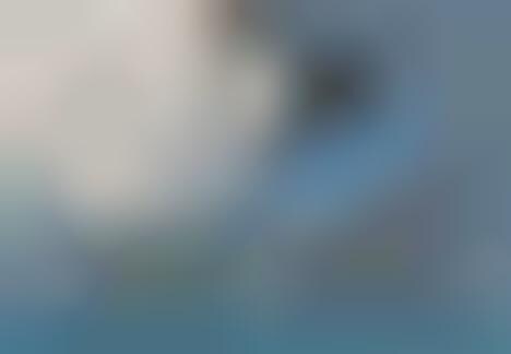 Curvy Poolside Furniture