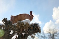 Flying Fowl Robots Image 3