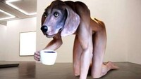 Nude Humanimal Sculptures Image 2