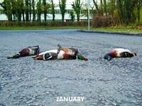 Roadkill Calendars Image 3