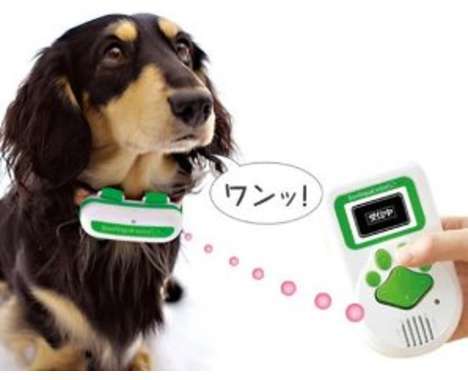 37 Translation Innovations