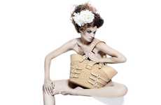 Nudity-Concealing Carriers