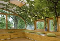 Adult Jungle Treehouses Image 3