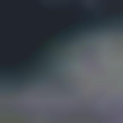 Dainty Dioramic Photography