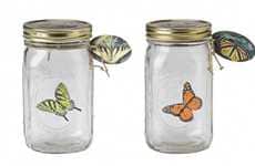 Realistic Robotic Insects