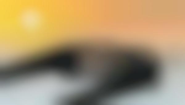 Solar-Censoring Shades