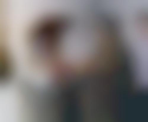 Dictator Inspection Blogs