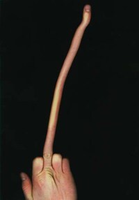 Elongated Imagery Image 2