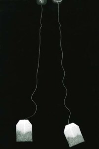 Elongated Imagery Image 4