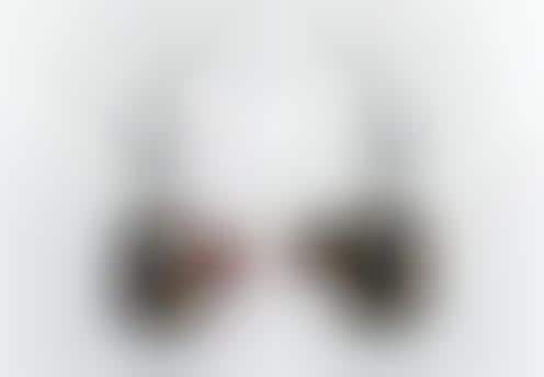 Expired Avian Headsets