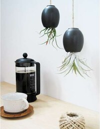 Upside-Down Planters Image 2