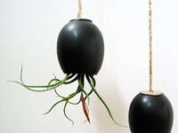 Upside-Down Planters Image 3