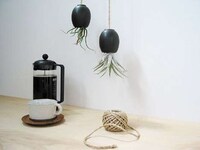 Upside-Down Planters Image 4