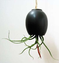 Upside-Down Planters Image 5