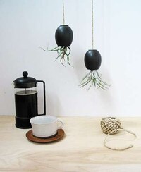 Upside-Down Planters Image 6