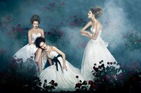 Mystique Bridal Shoots Image 4