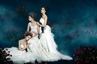 Mystique Bridal Shoots Image 5