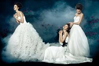 Mystique Bridal Shoots Image 8