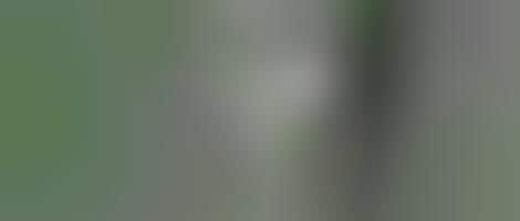 Artful Designer Tribute Videos