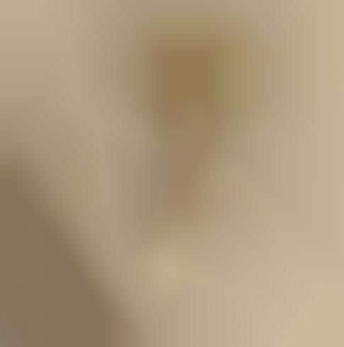 Victorian Punk Jewels