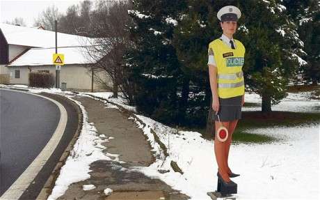 Fake Cardboard Police Officers