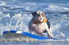 Surfing Canine Calenders