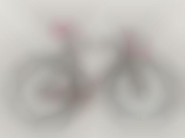 Speedy Racer Bikes