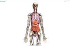 Interactive Anatomy Sites