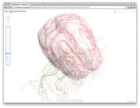 Interactive Anatomy Sites Image 2