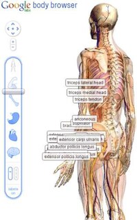 Interactive Anatomy Sites Image 3