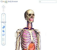 Interactive Anatomy Sites Image 4