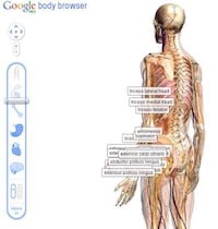 Interactive Anatomy Sites Image 5