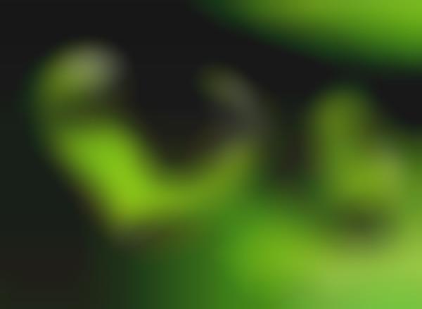 Awesome Adjustable Autos