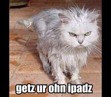 Feline-Friendly Apps