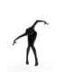 Rope-Straddling Photography Image 6