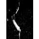 Rope-Straddling Photography Image 8