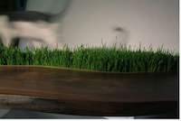 Grassy Path Furniture Image 2