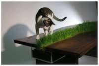 Grassy Path Furniture Image 4