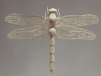 Insectified Matches