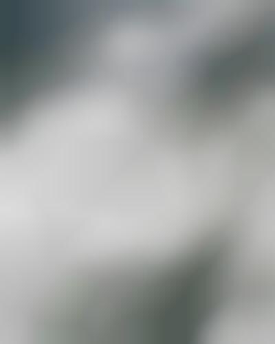 Natural Disaster Photography
