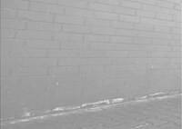 Glittering Fashion Shoots Image 3