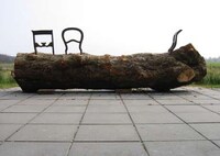 Forest Floor Furniture Image 5