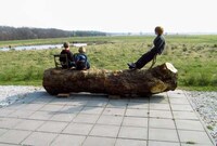 Forest Floor Furniture Image 6