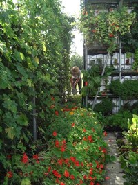 Edible Garden Sheds Image 4
