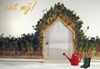 Edible Garden Sheds Image 7