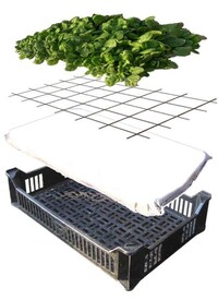 Edible Garden Sheds Image 8