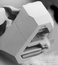 Microscopic Snowflakes Image 4
